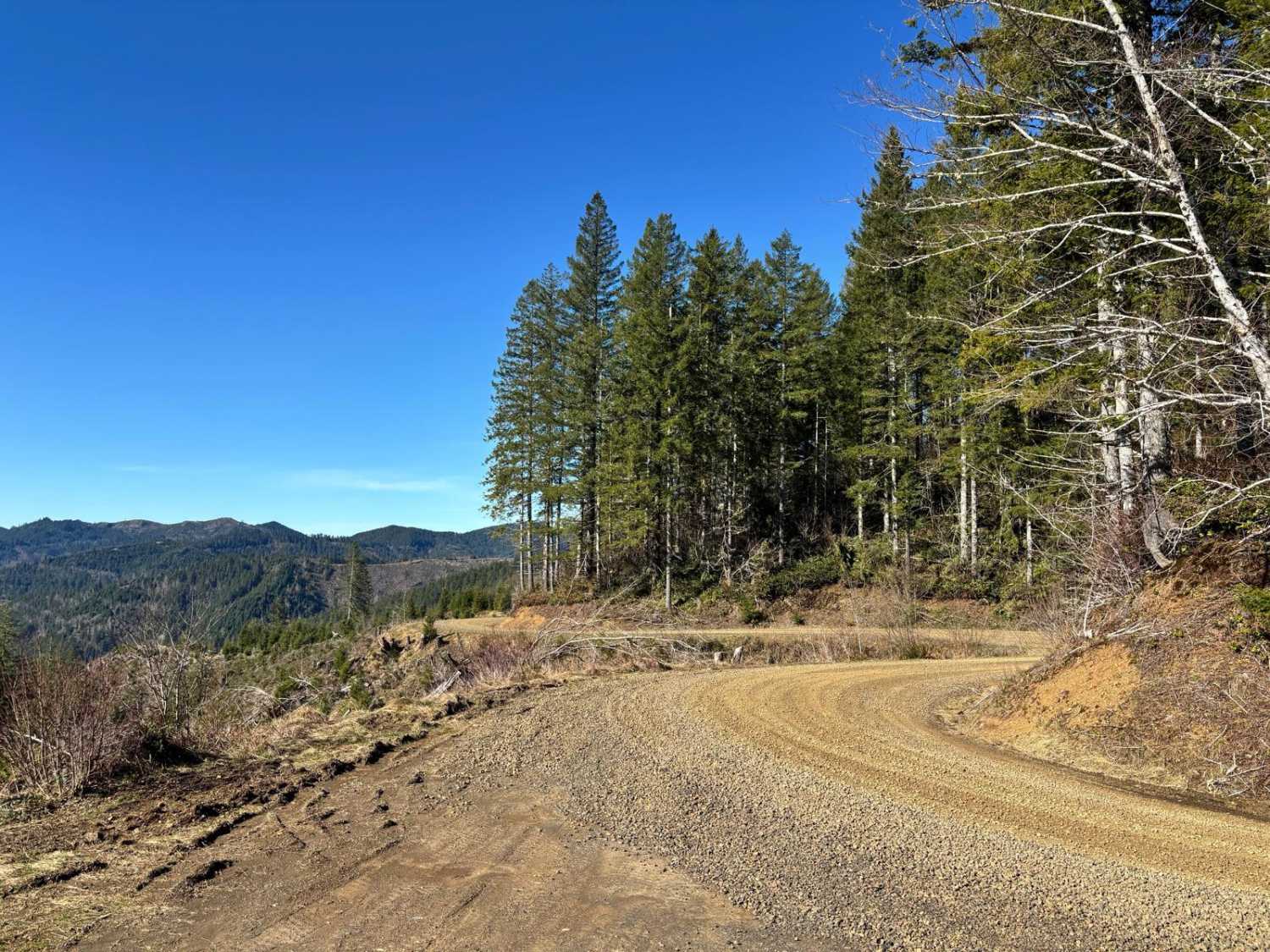 Kilchis Lookout Road