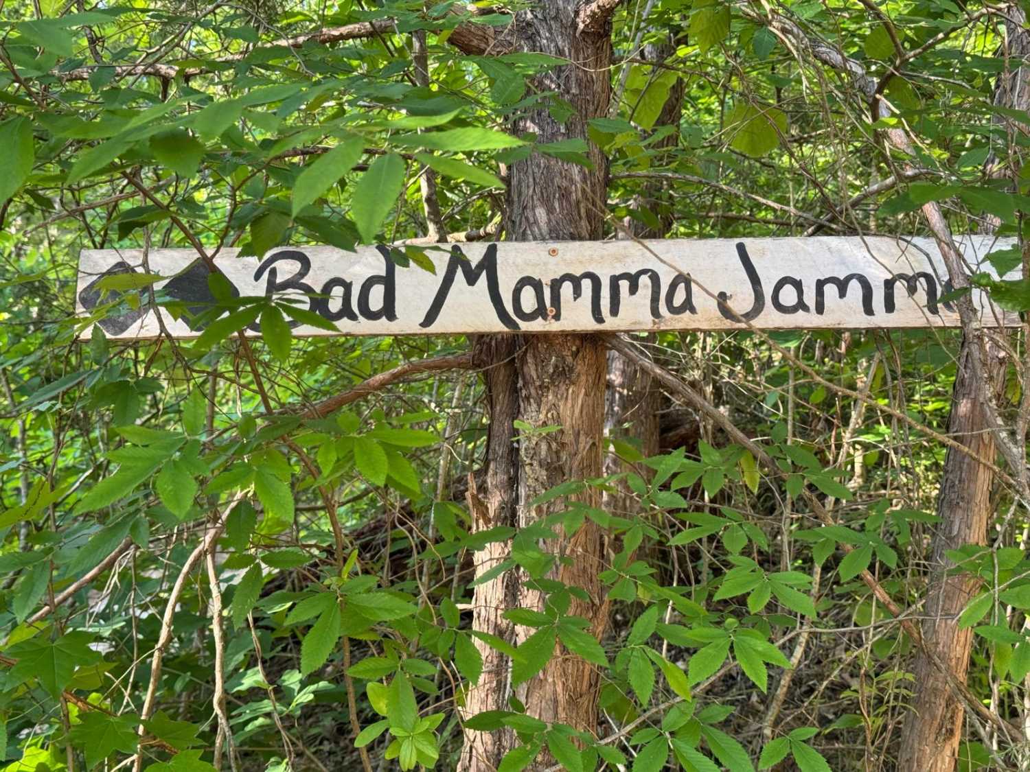 Bad Mamma Jamma
