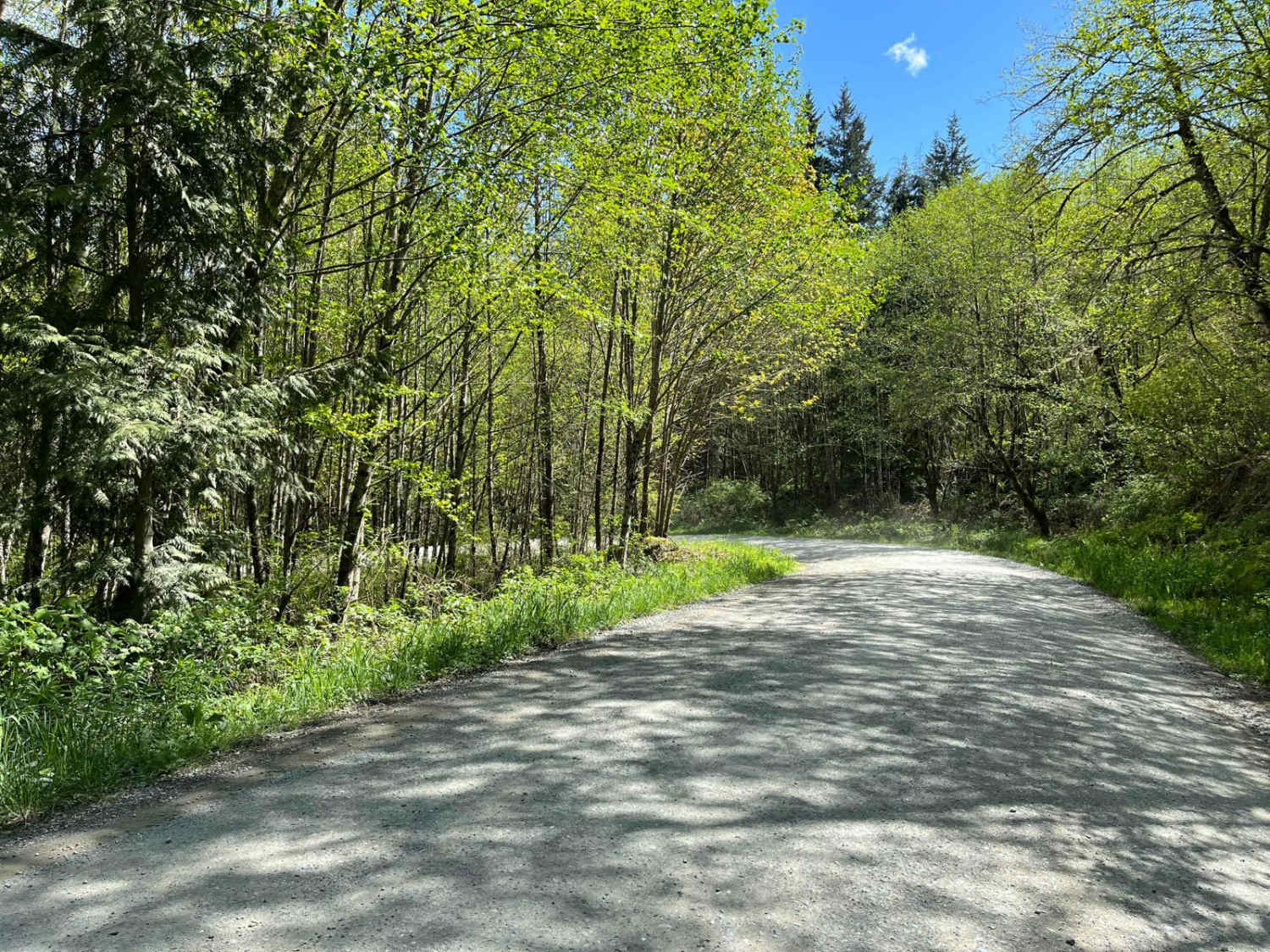 Blanchard Mountain, Washington OffRoad Trail Map & Photos onX Offroad