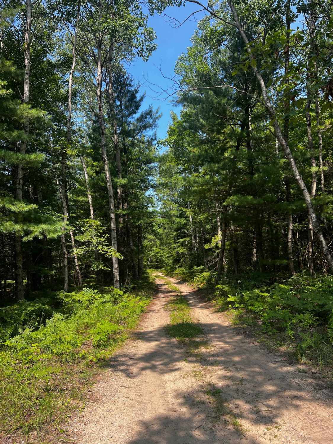25 1/4 Trail