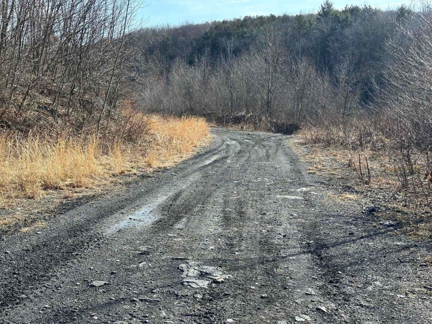 Locust Gap 37