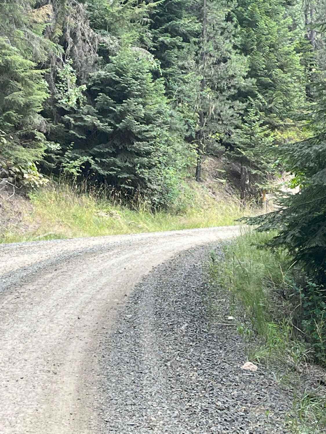 Road 4782