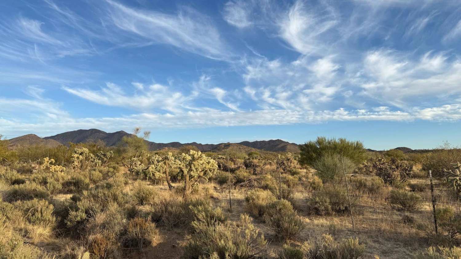 Good Enough For The Cows