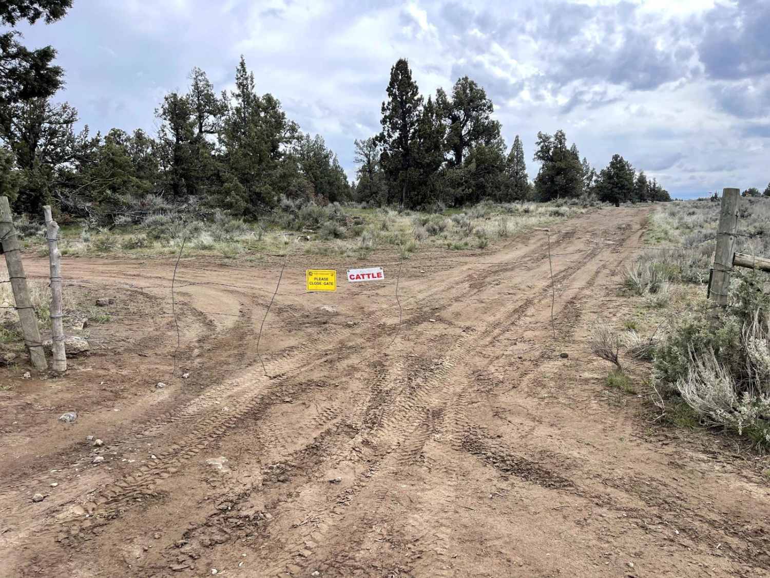 Dirt Road Dash