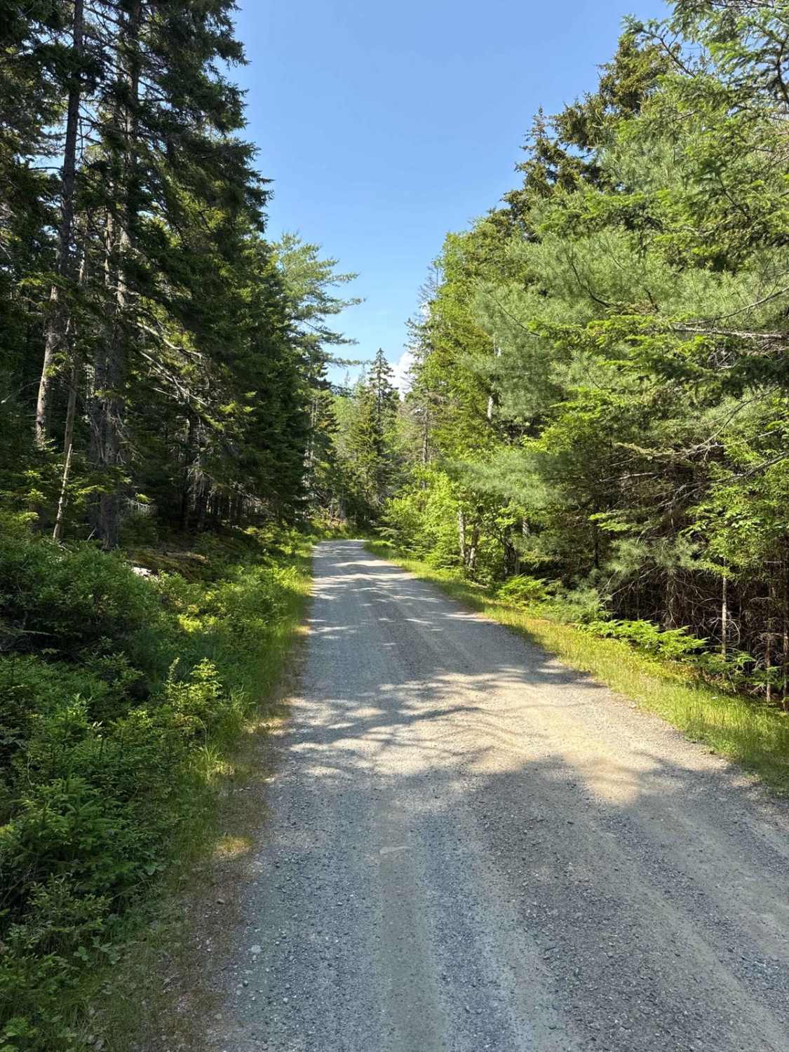 Long Pond Fire Road