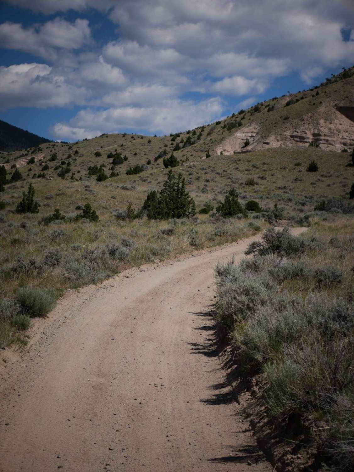 BLM 3 