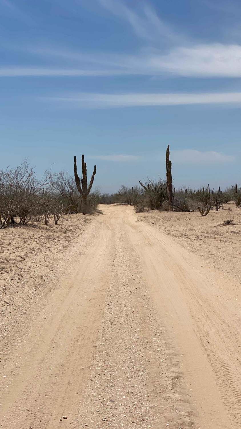 Lomita Amarilla South
