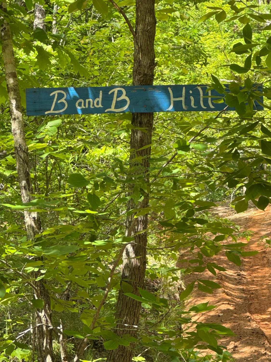 B&B Hill