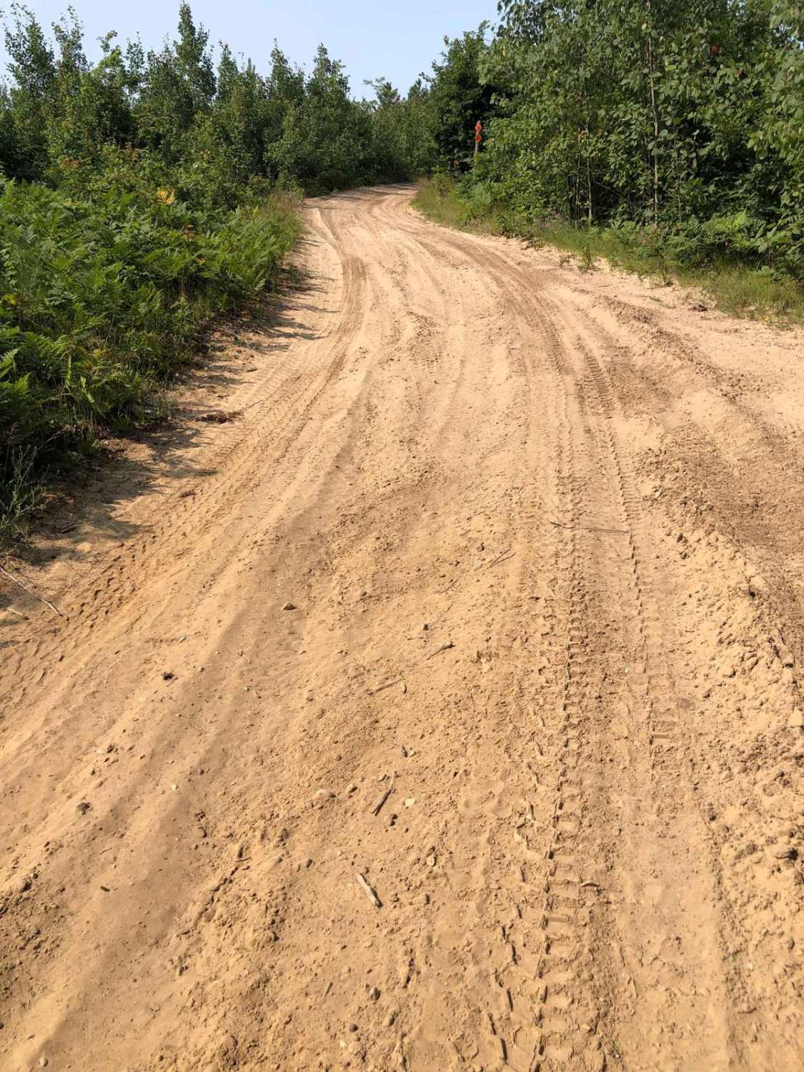 Fern Way
