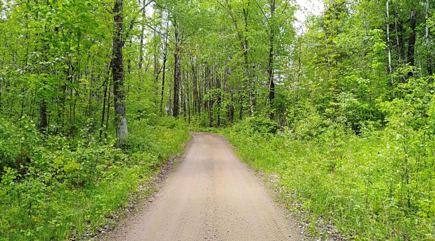 UPM Blandin Trail N