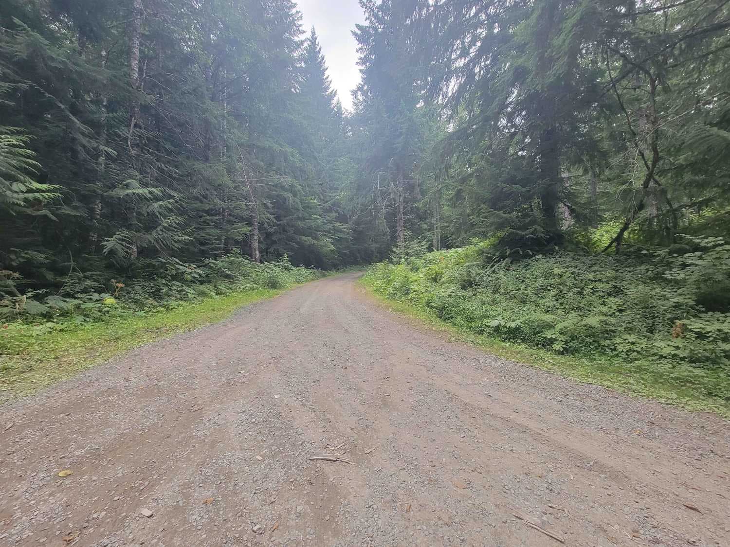 Mesatchee Creek Offroad Trail 