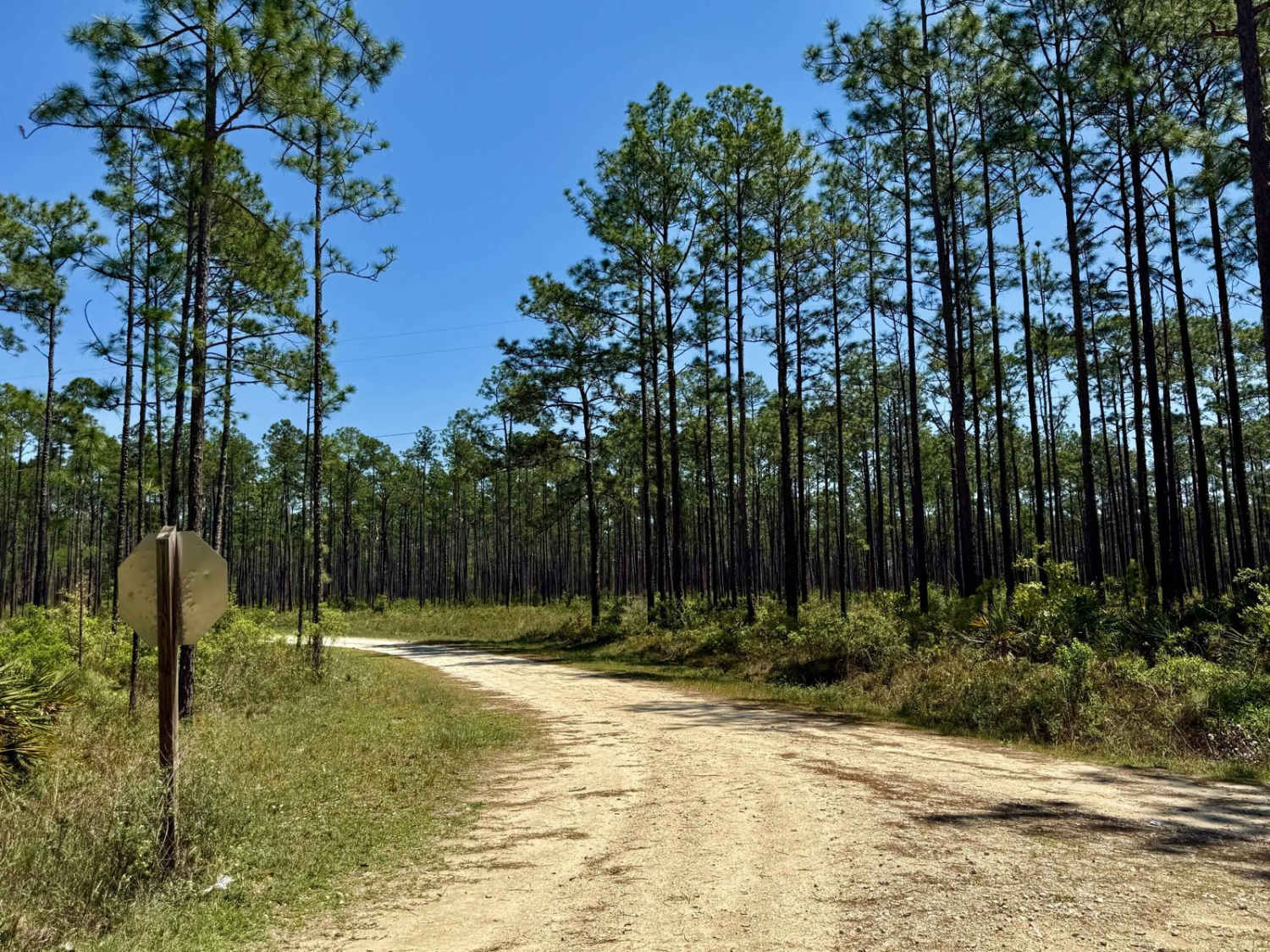 Devon Creek 166