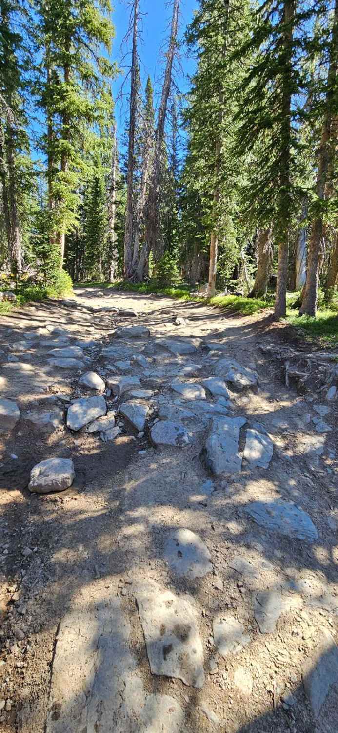 Cascade North Twin