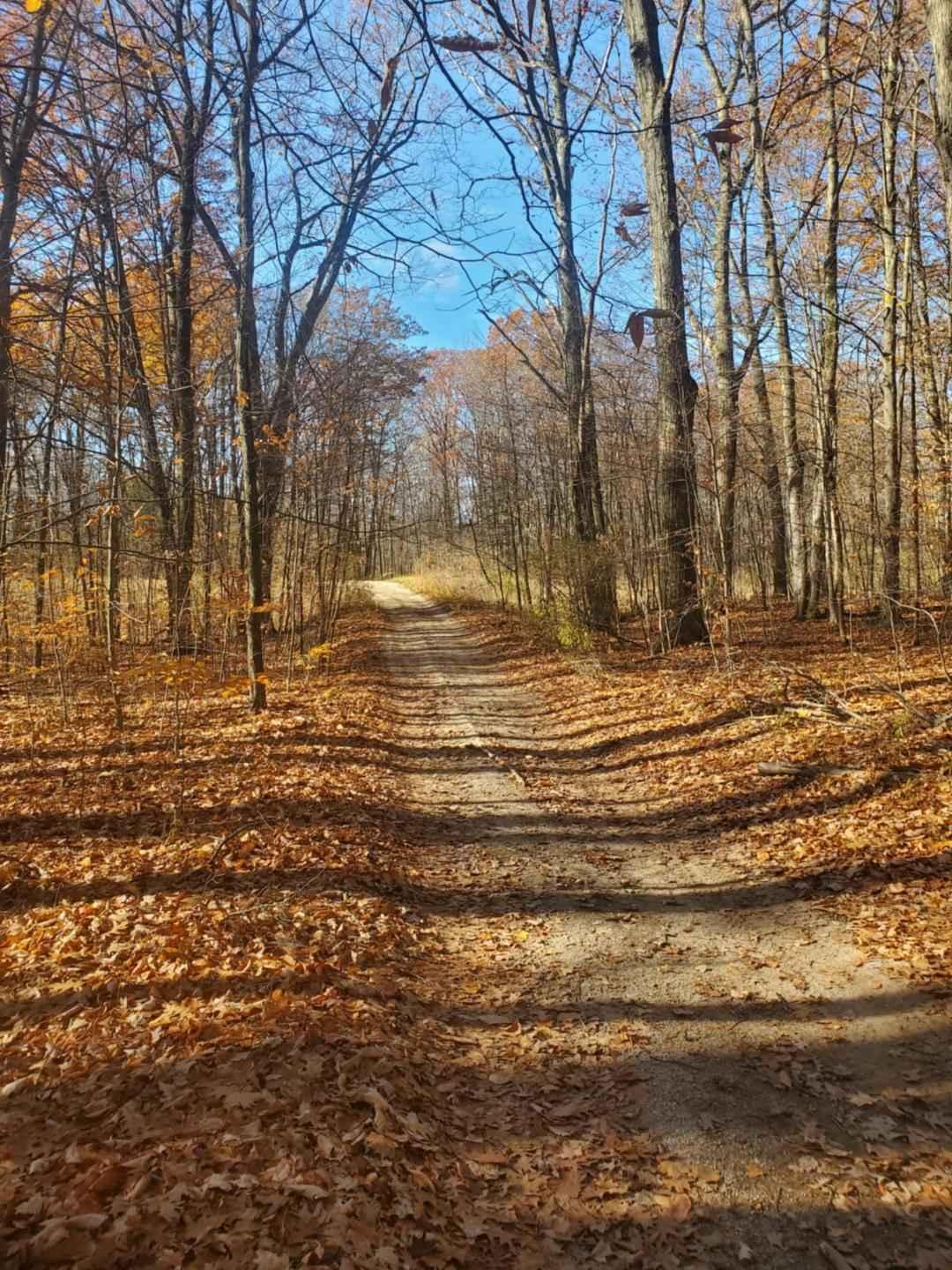 Trail 7325