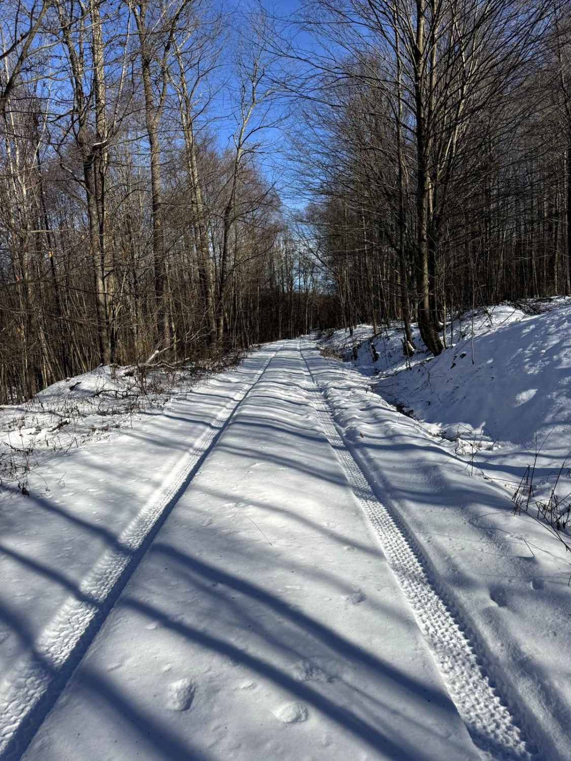 McCarty Road