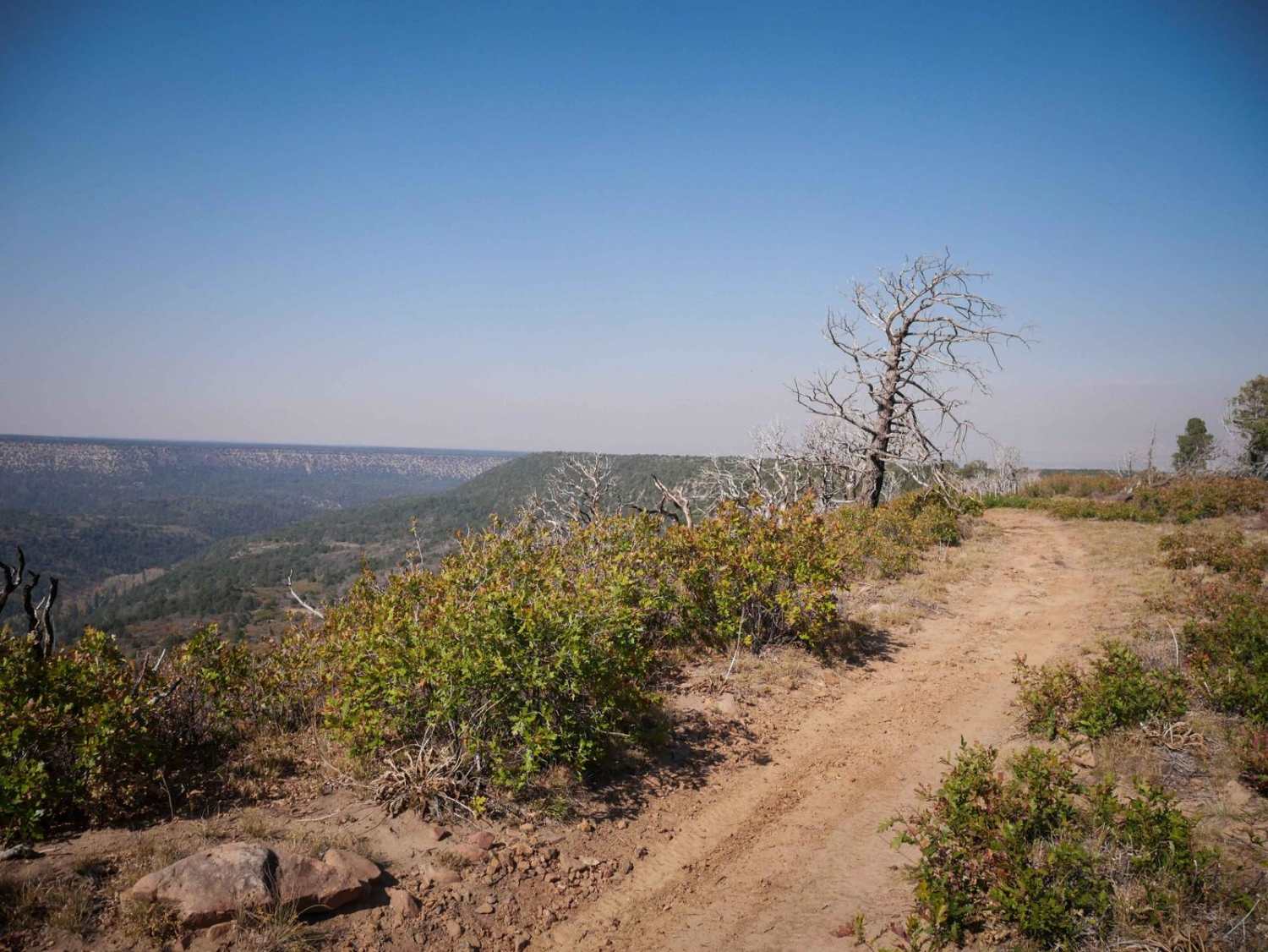 Spring Creek Spur A ATV Trail