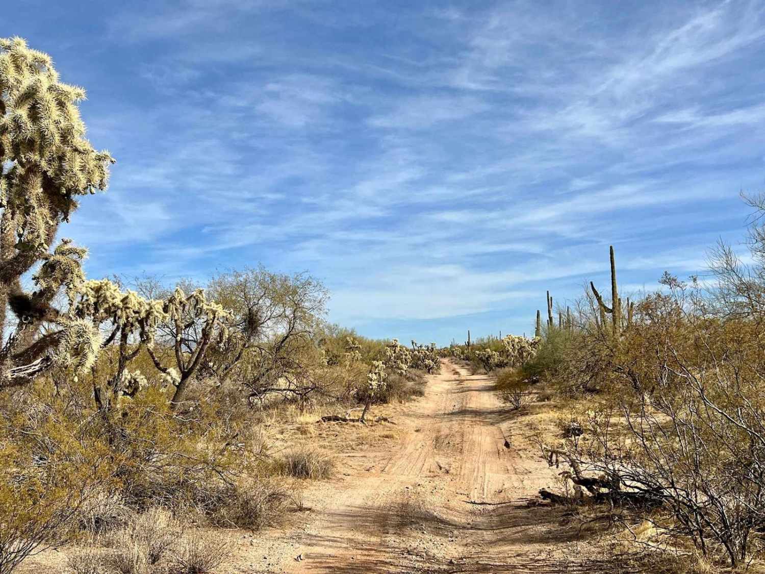 M0800 Freeman Pipeline Trail