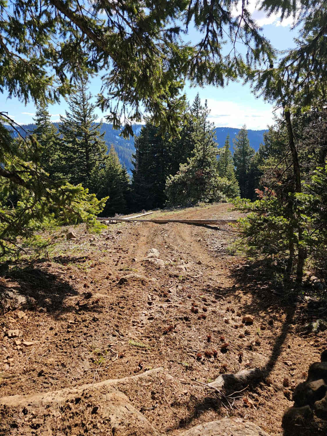 4W310 Frost Mountain