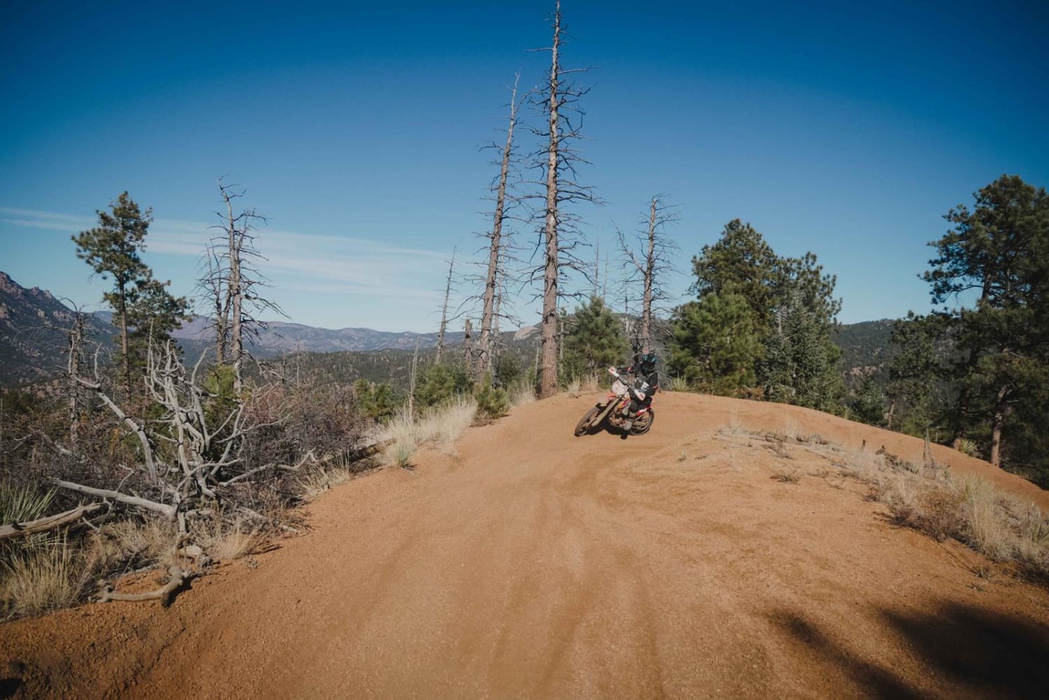 677 Log Jumper ATV Trail 