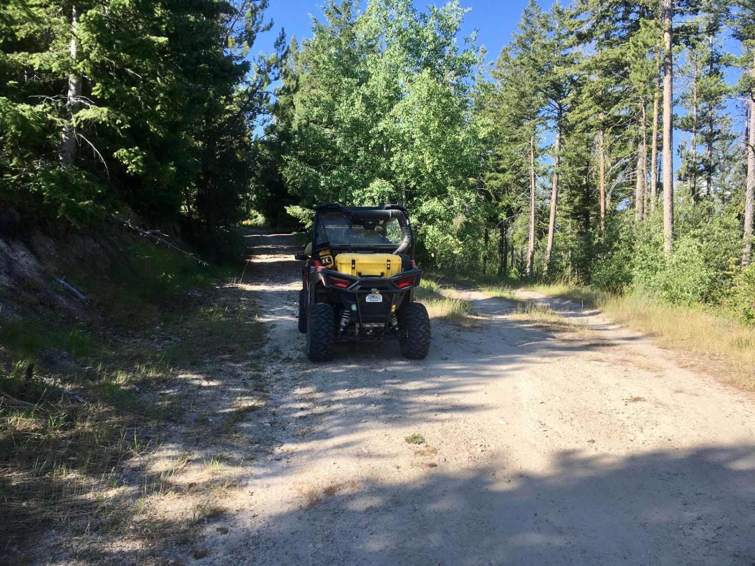 Blacktail Point Road