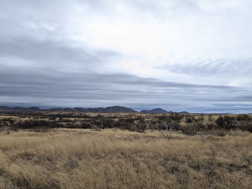 Pronghorn Tour Loop Road