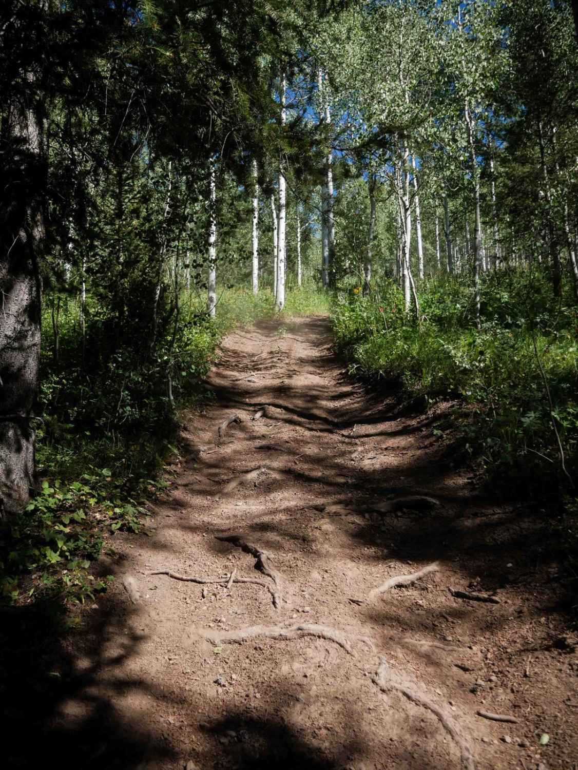 Horseshoe to Harrington #5212