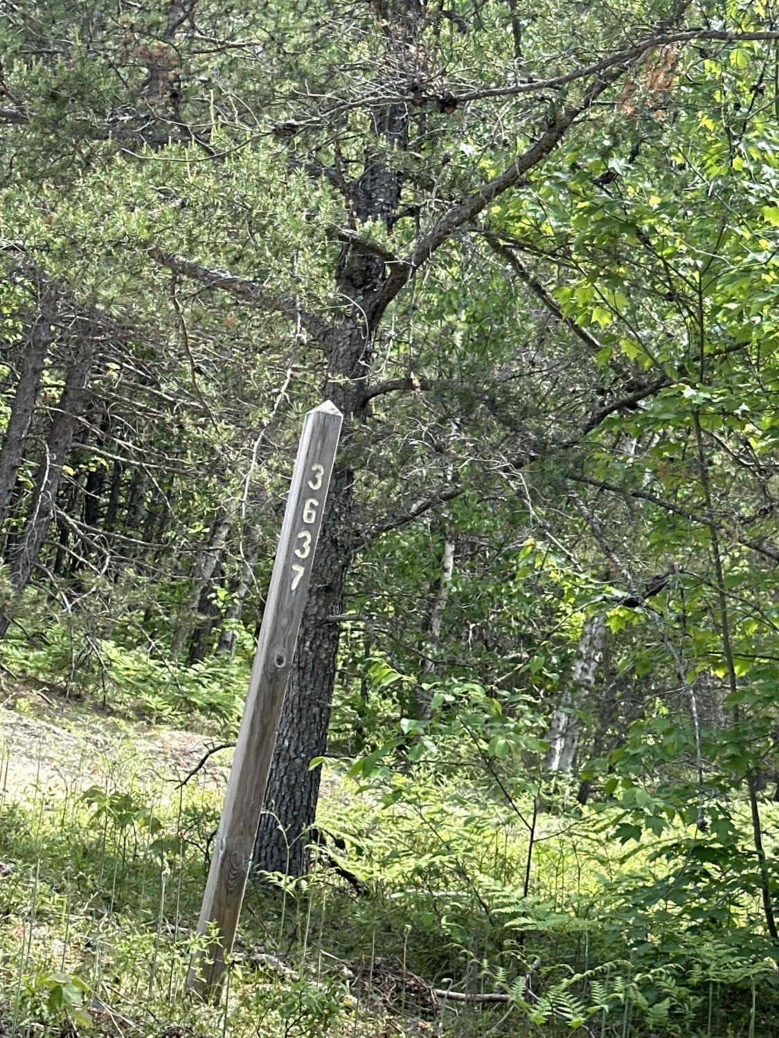 FS 3637