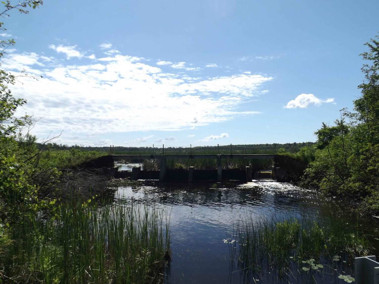 Floodwood Swamp Reservoir