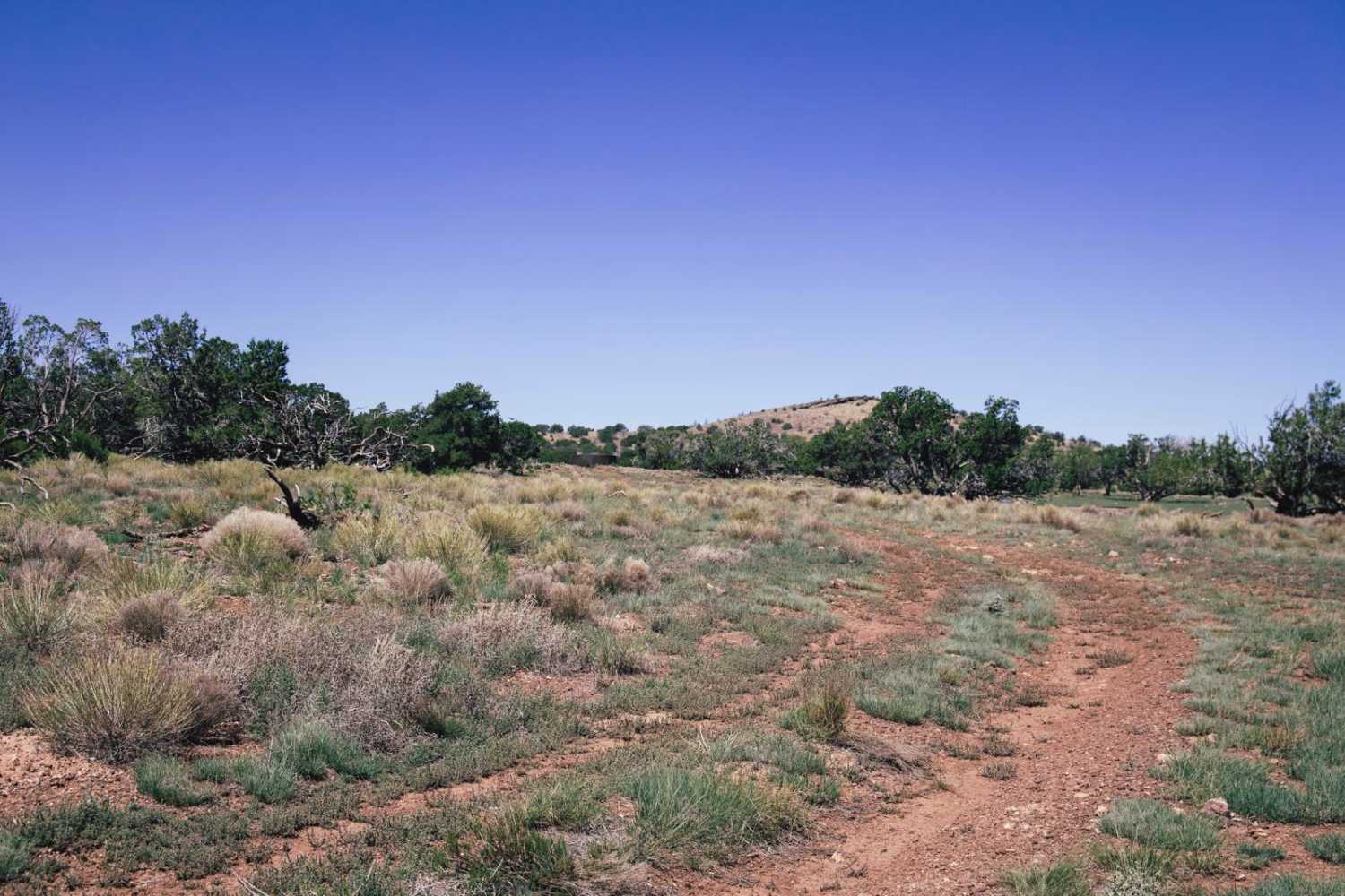 Knobs View