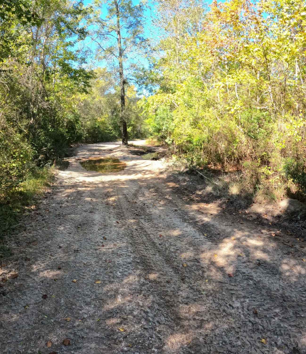 Jamey's Swamp Road