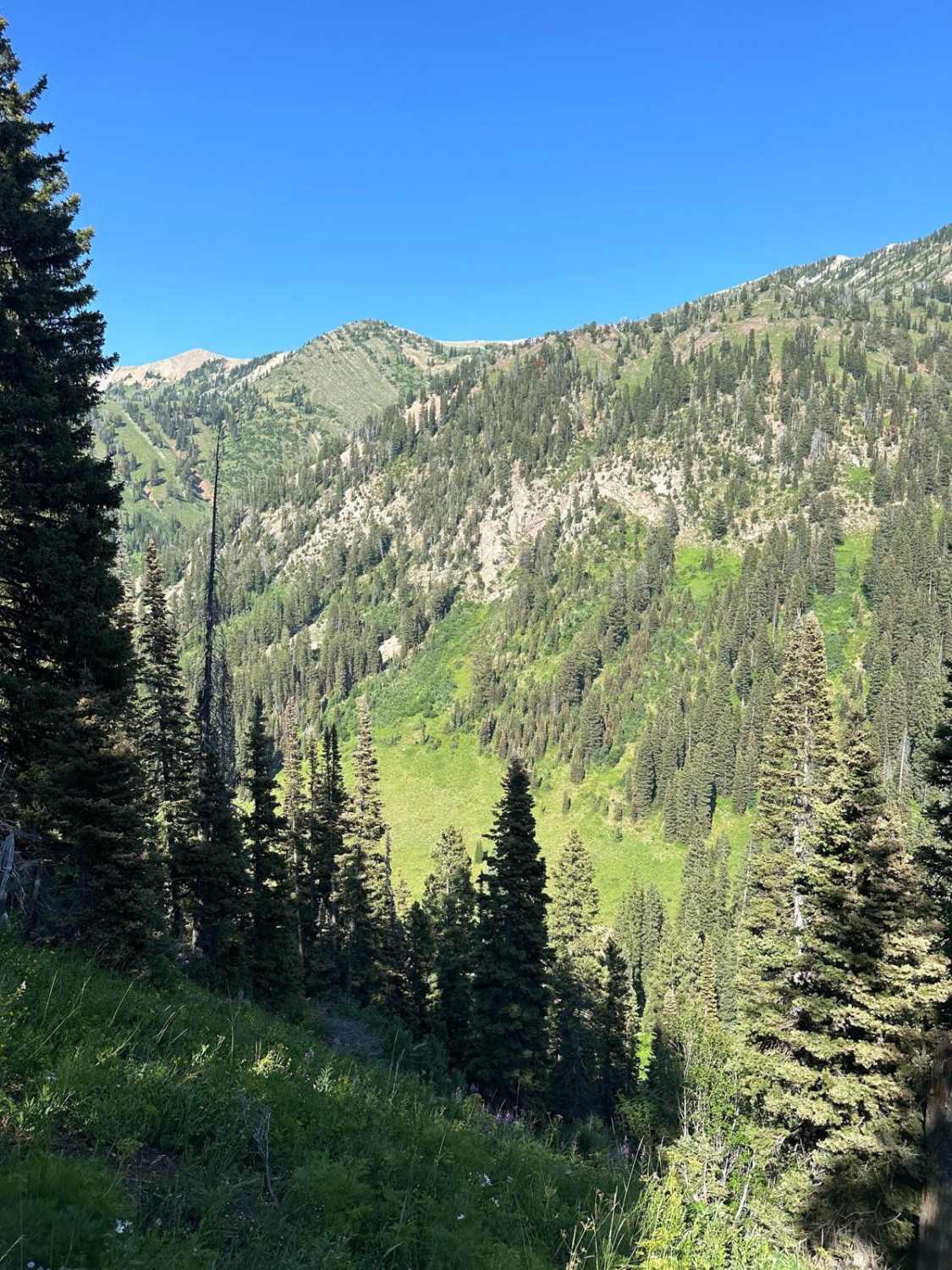 Willow Creek