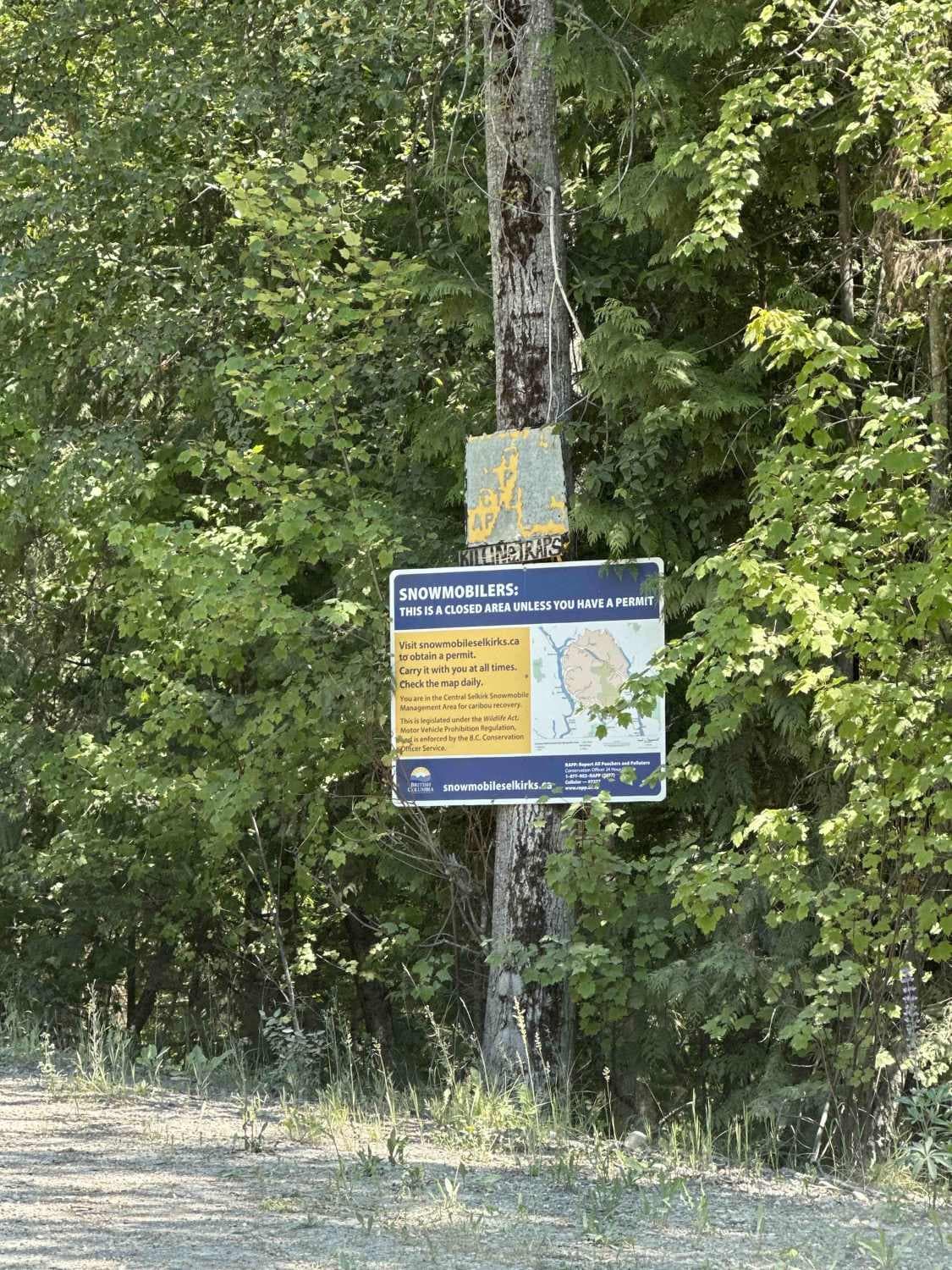 Wilson Creek