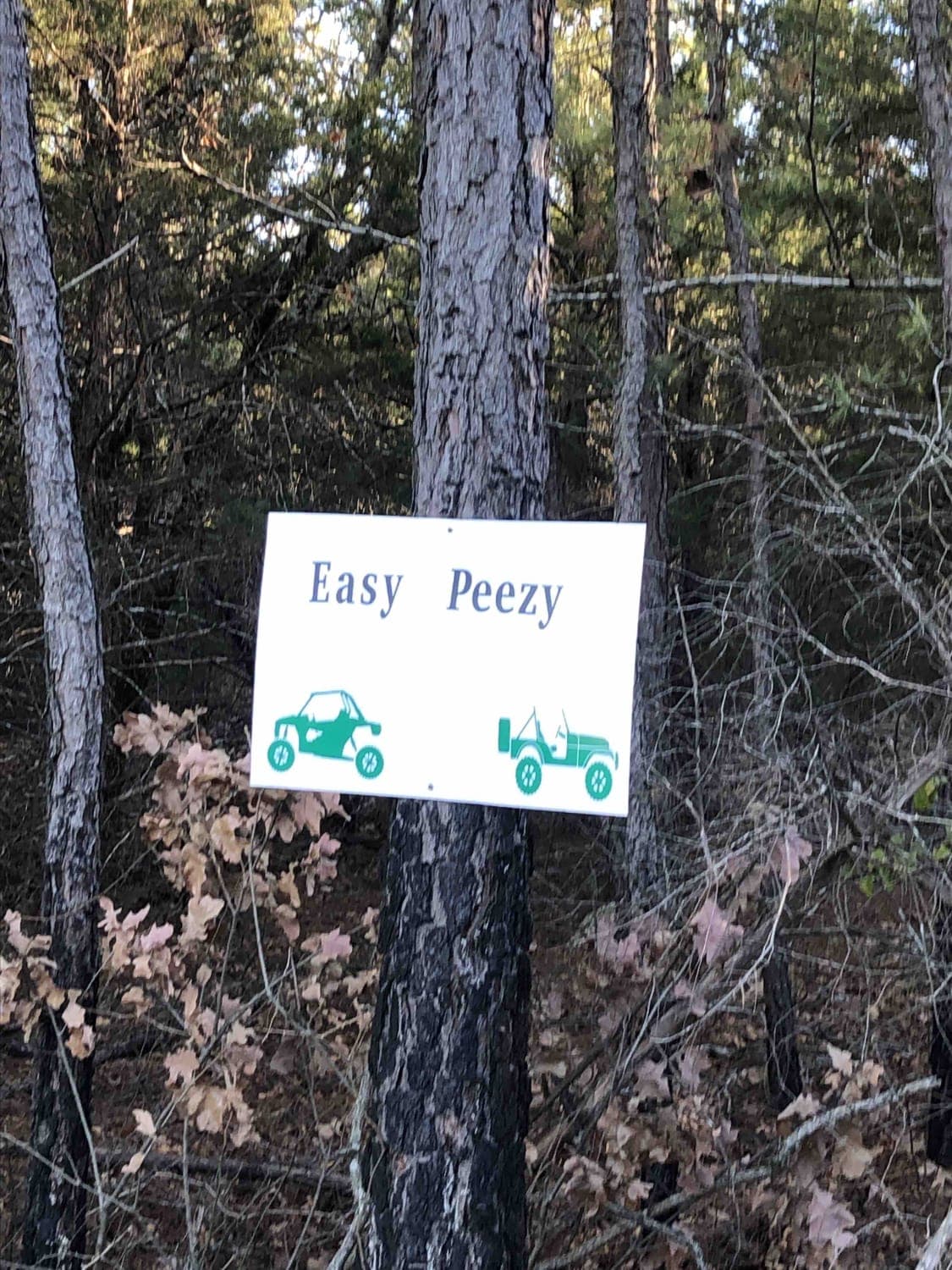 Easy Peezy