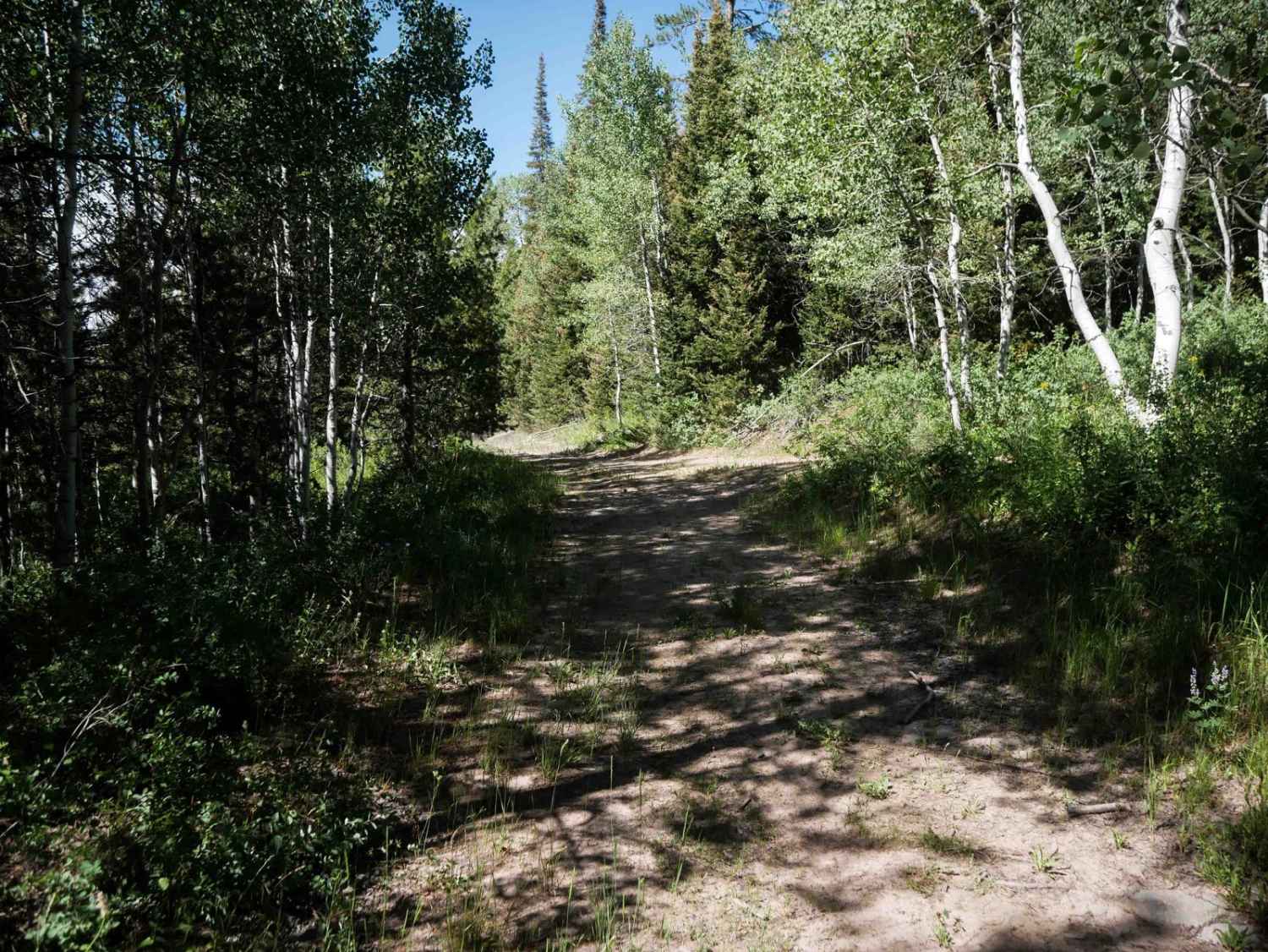 Harrington Peak Access #5233 