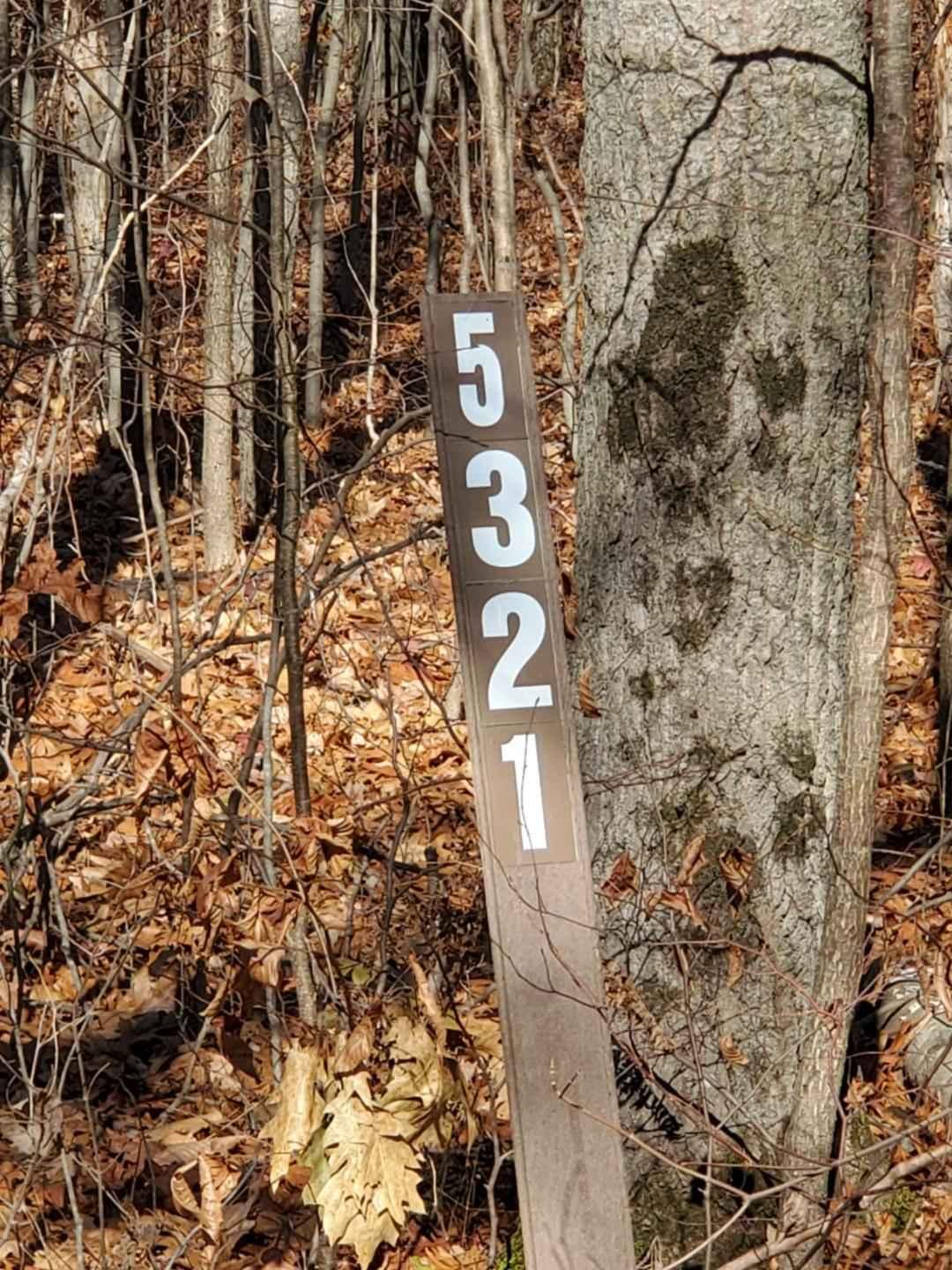 Trail 5321