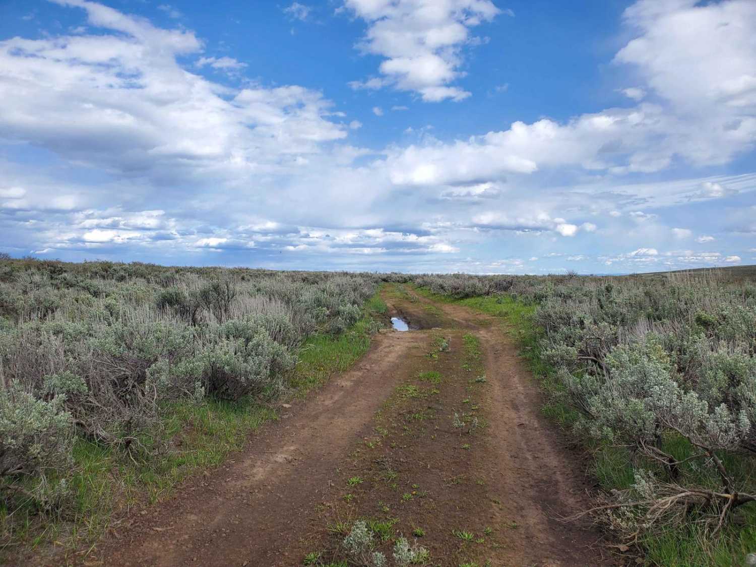 Collapsed Lava Dome Trail