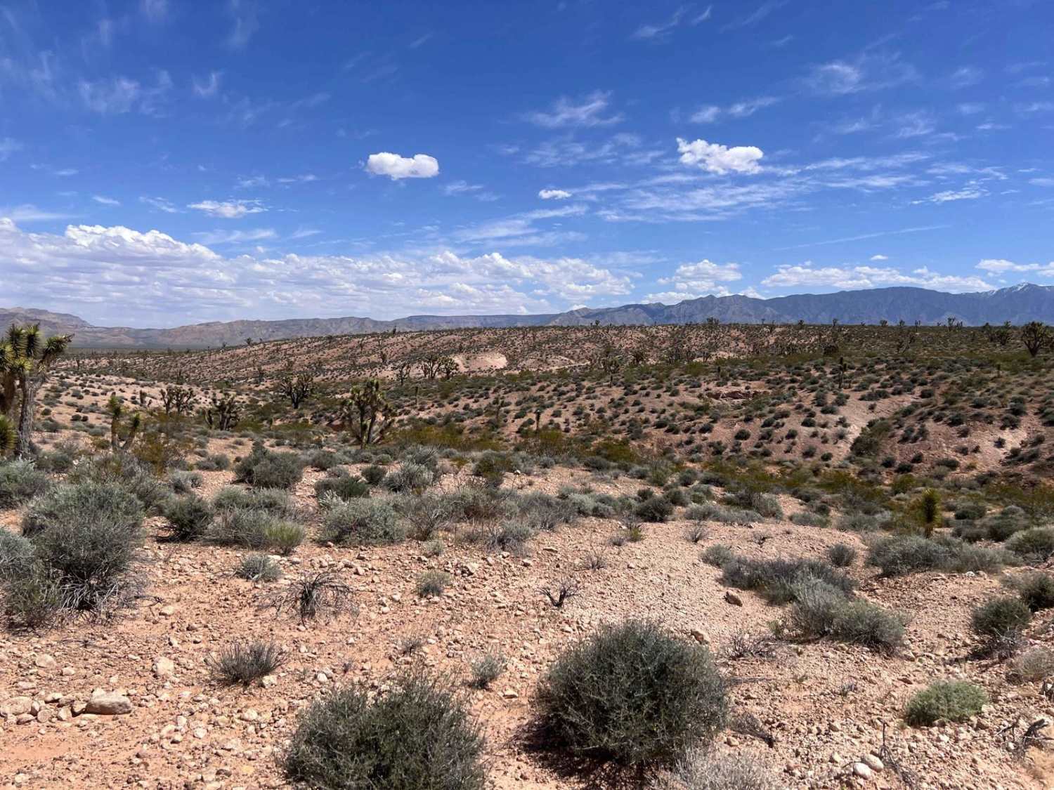 Davidson Wash