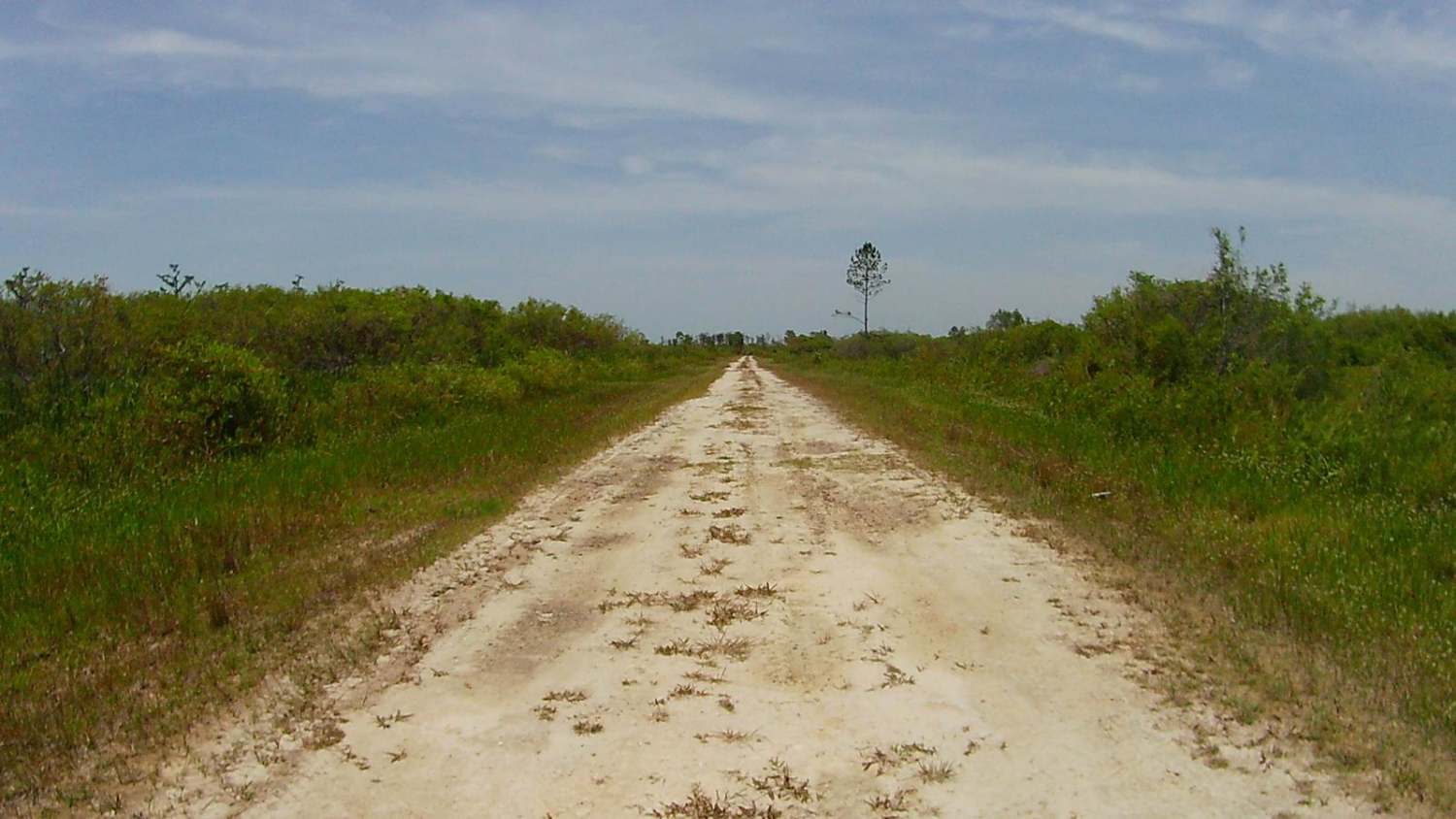 Sandy Road