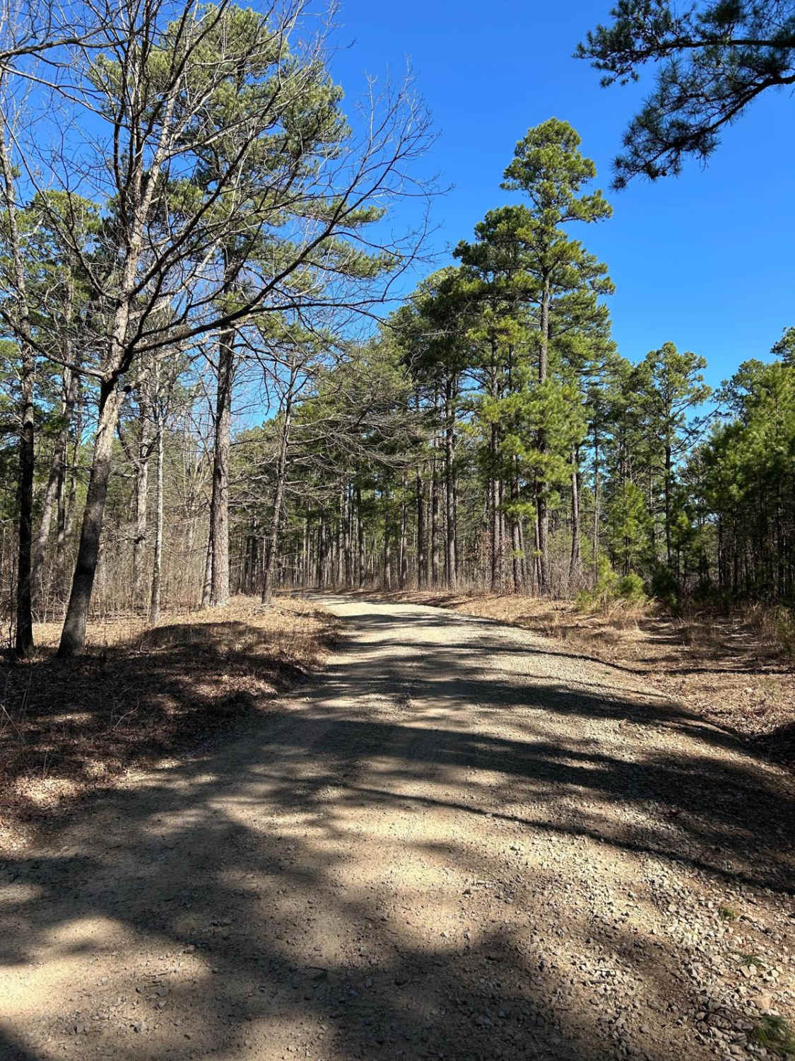 Woods Mountain Road