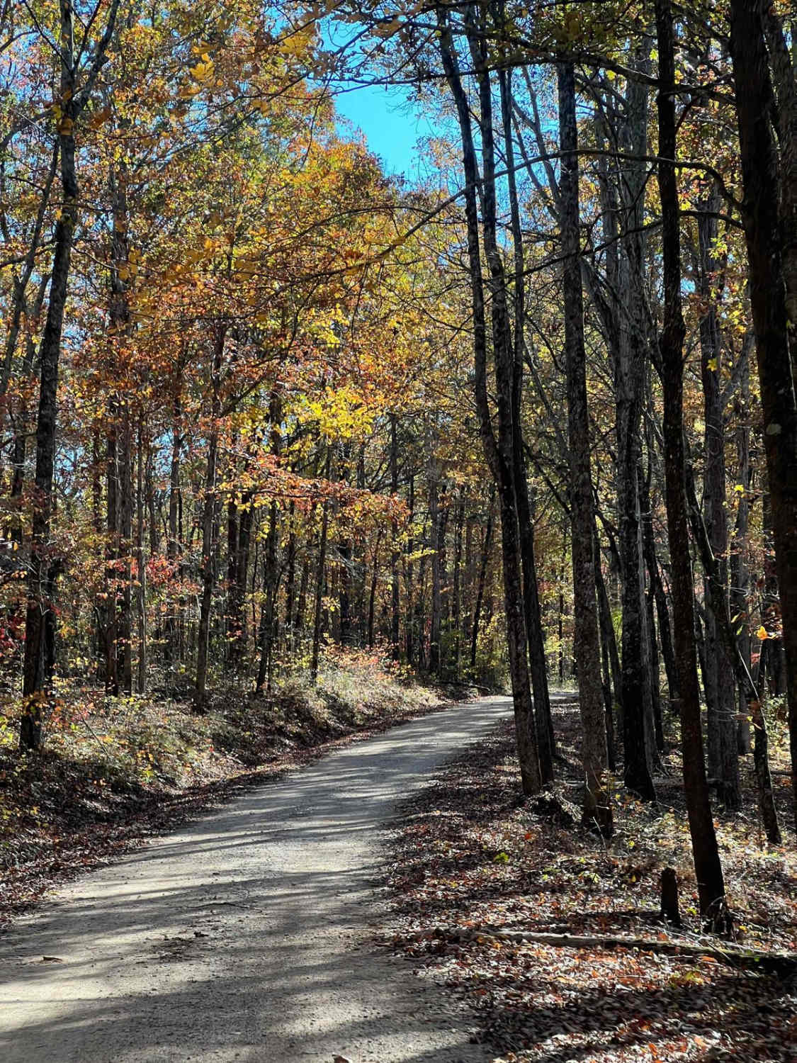 Indian Tomb Hollow Road