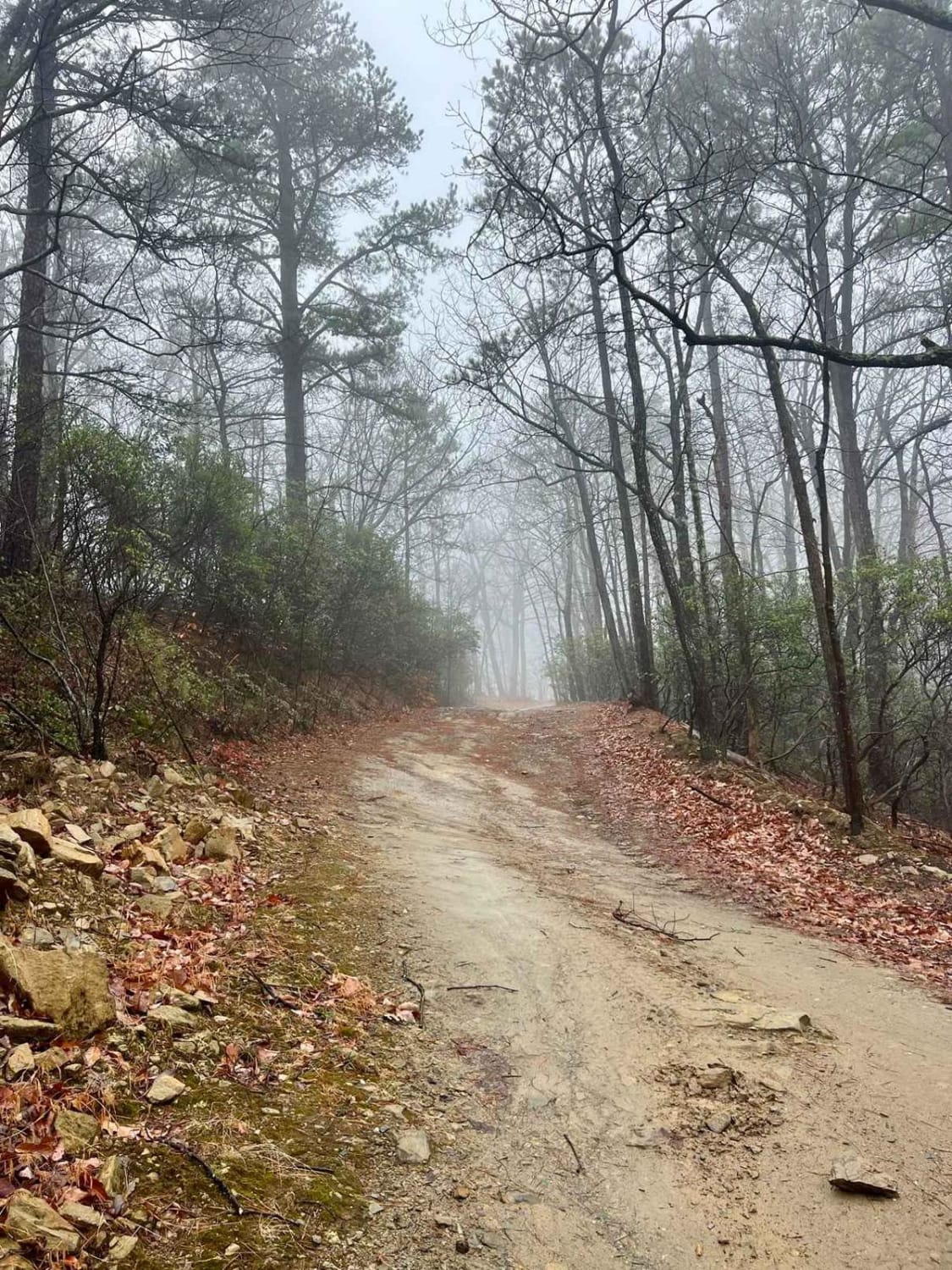 Burnt Ridge Trail