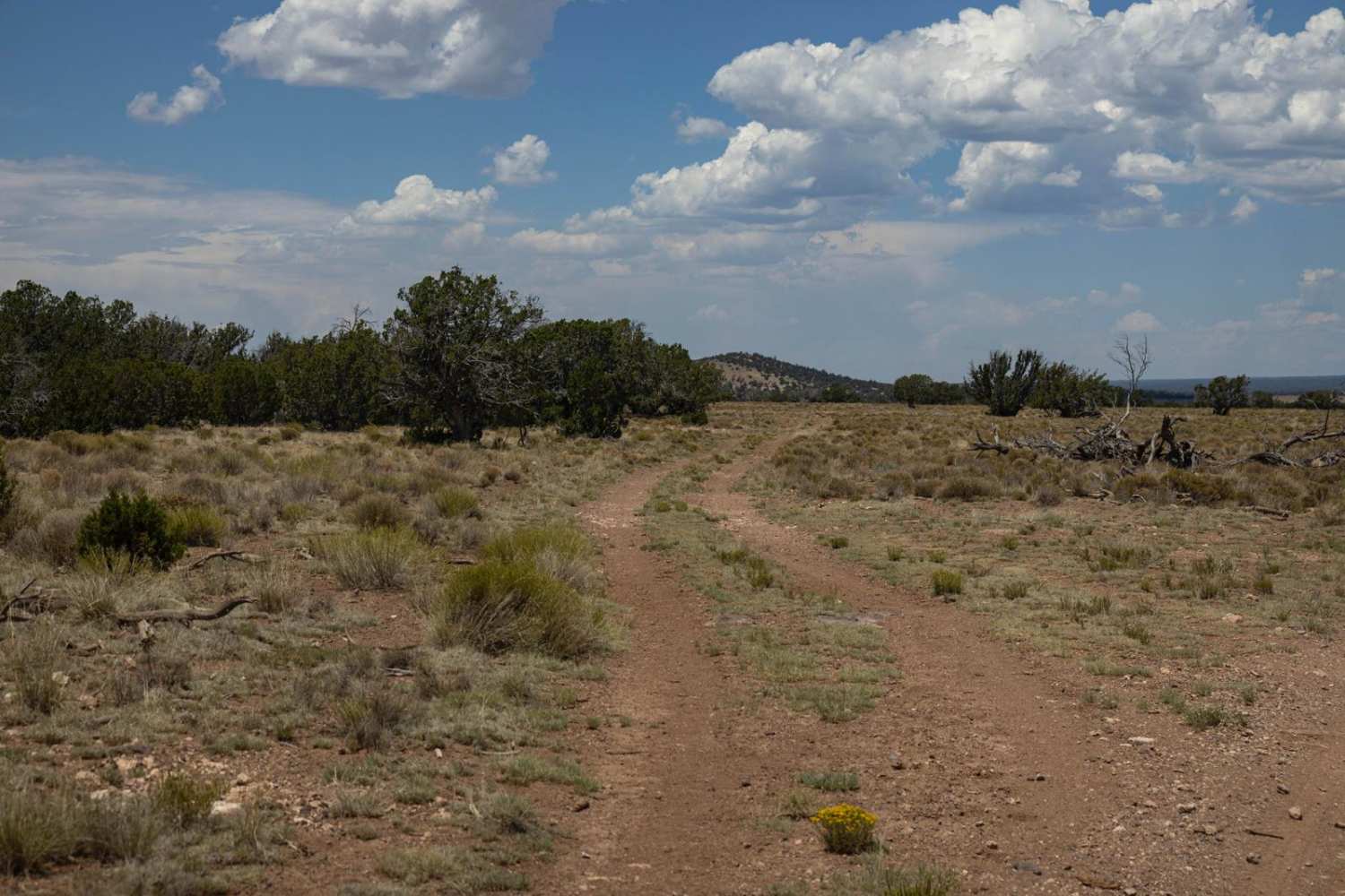 Antelope Run