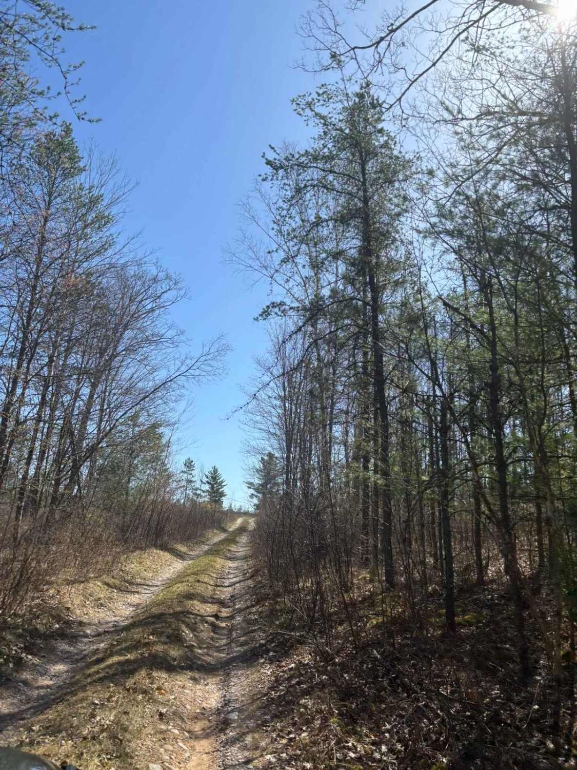 Forest Road 2073