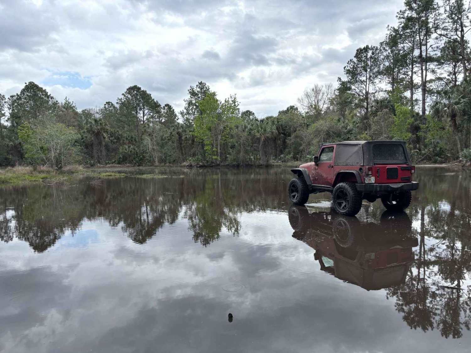 Sawgrass Trail