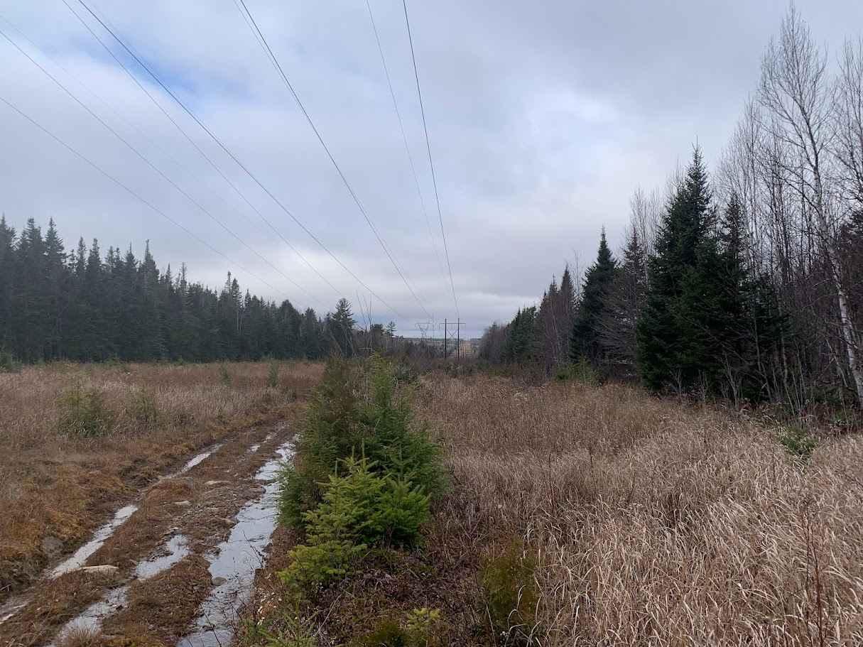 Pioneer Street Hydro Line