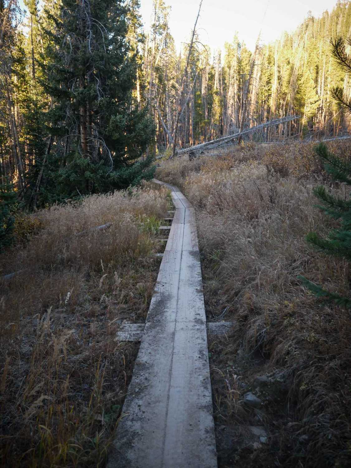 Outer Wide Open 