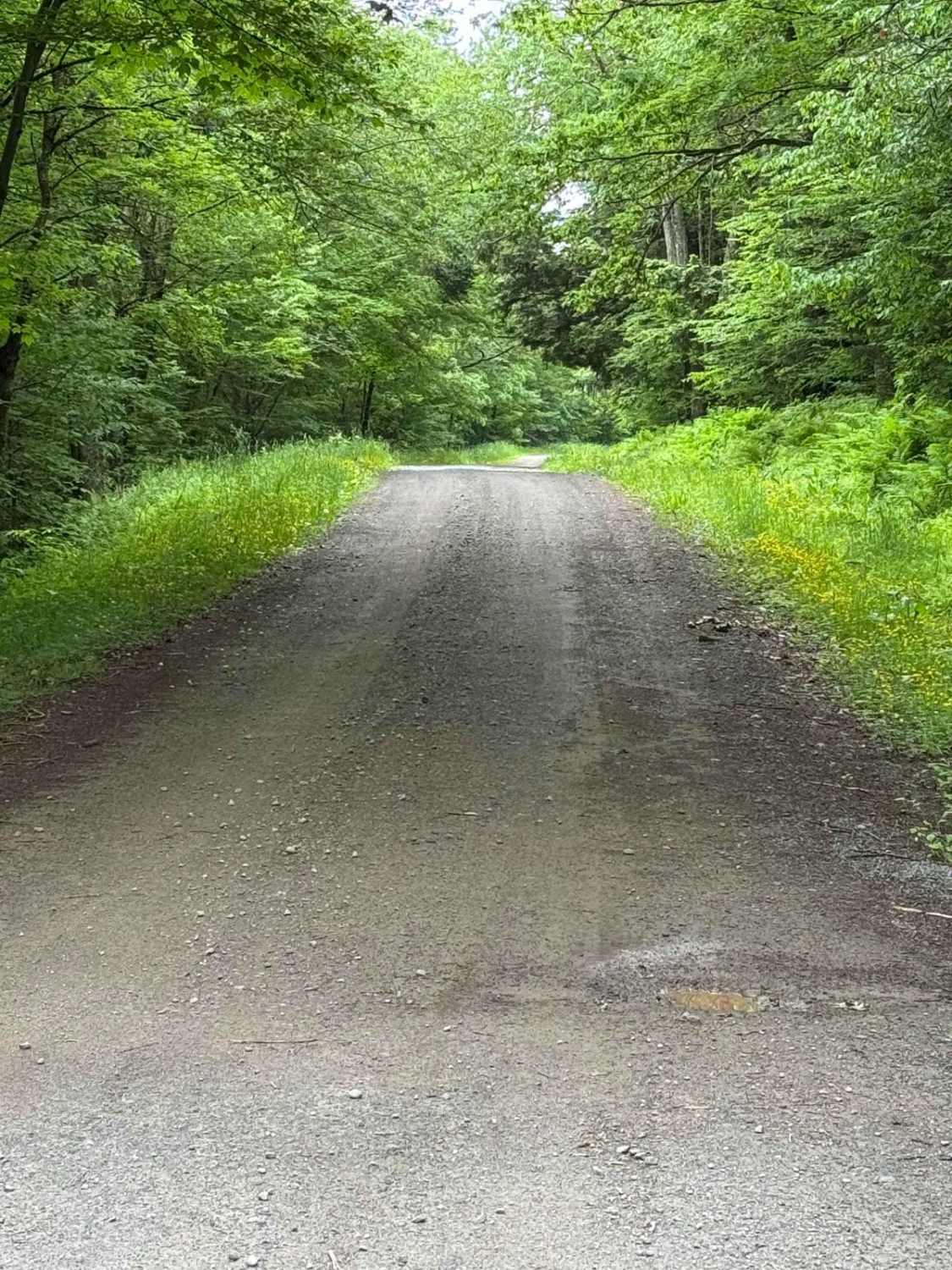 West Trout Brook Road