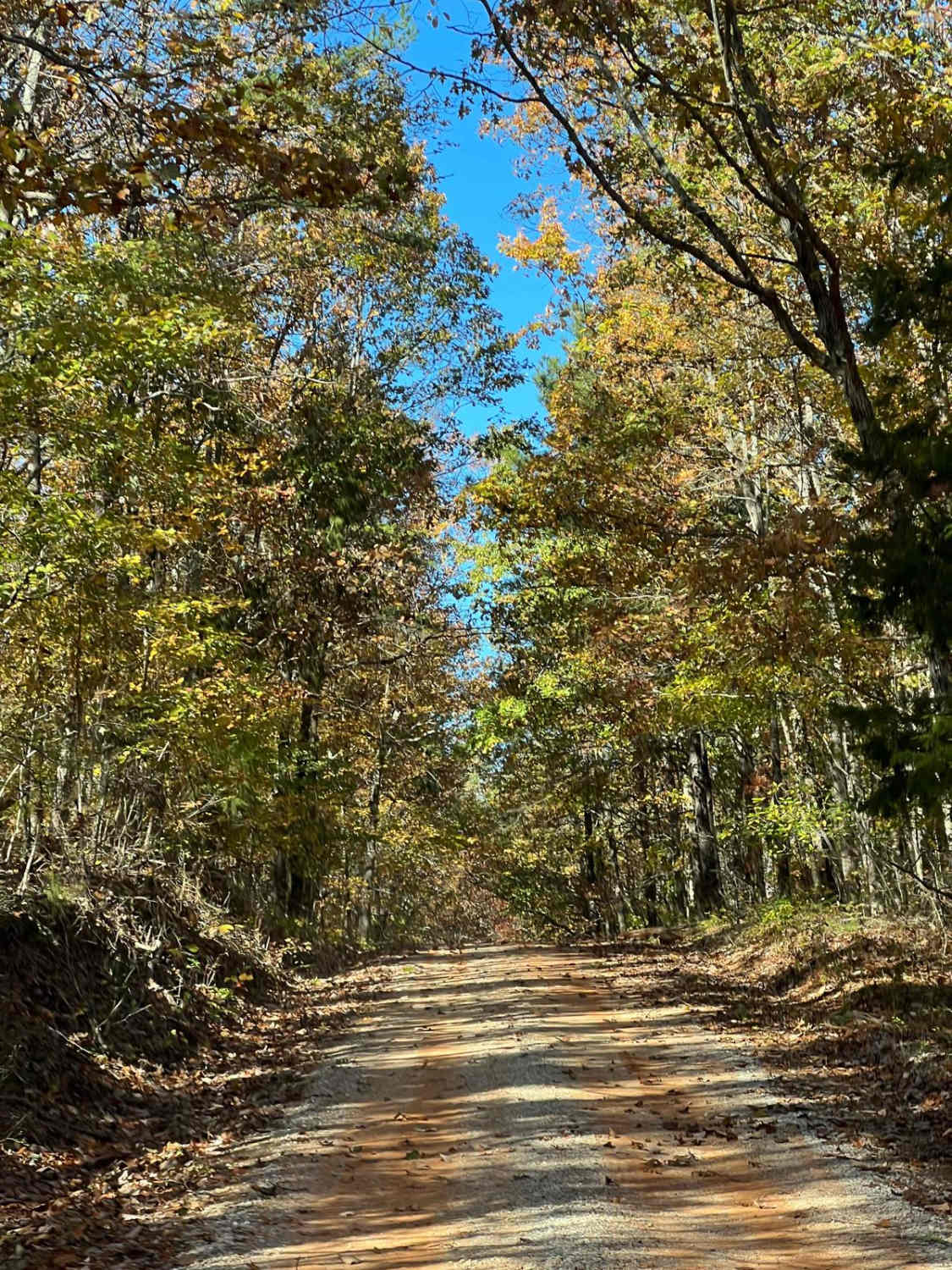 County Road 81 - FS 268