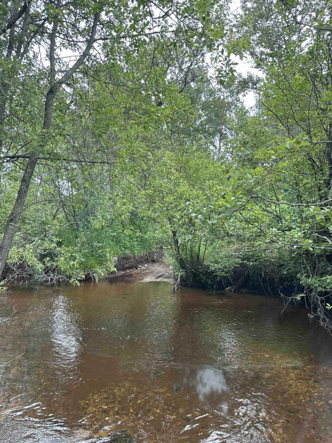 Ozark