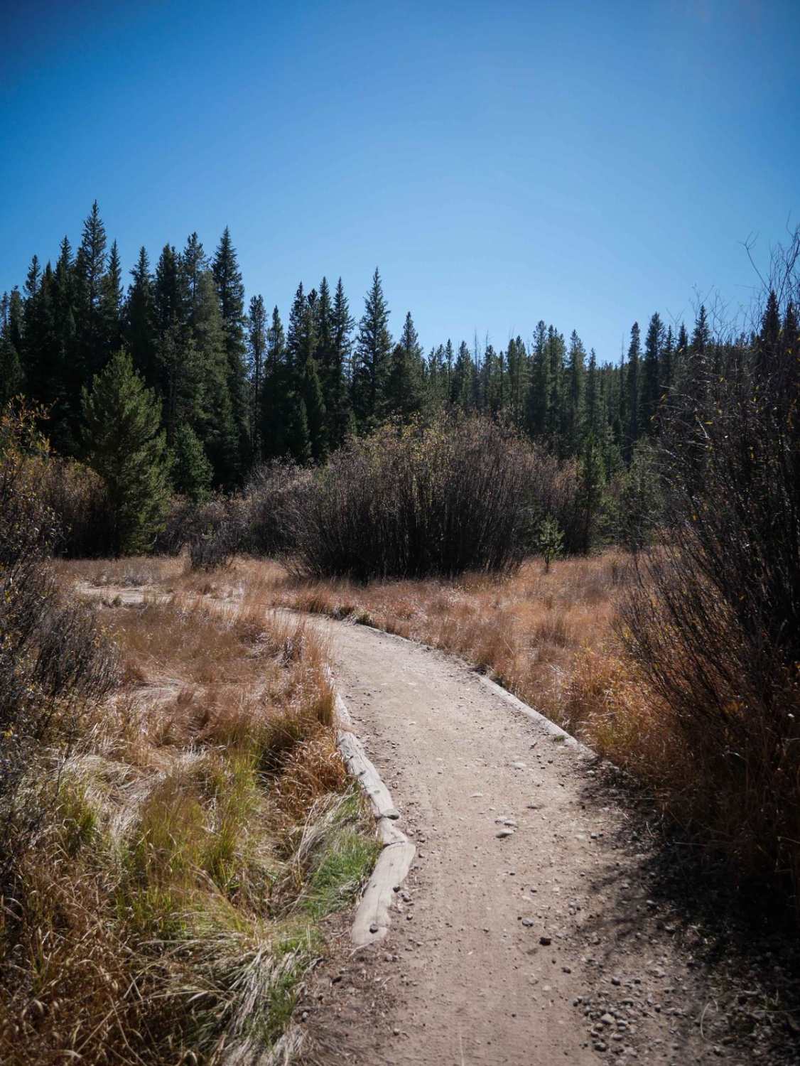 Elk Meadow ATV 